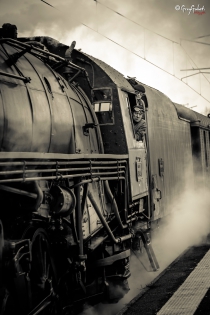 vichy photo de vichy de noel du train a vapeur avec le pere noel 03200 vichy , Cusset, 