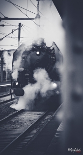 train noel photo de vichy de noel du train a vapeur avec le pere noel 03200 vichy , Cusset, 