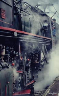 noel photo de vichy de noel du train a vapeur avec le pere noel 03200 vichy , Cusset, 